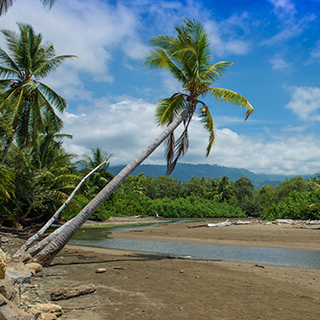 Uvita - Beach
